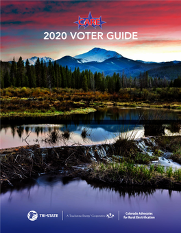 2020 CARE Voter Guide