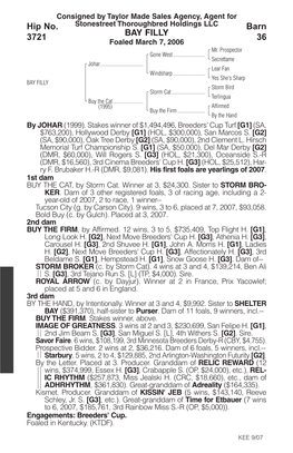 BAY FILLY Barn 36 Hip No. 3721