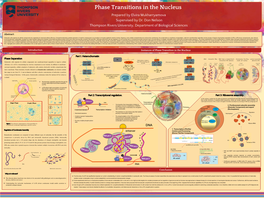 Phase Transitions in the Nucleus Prepared by Elvira Mukharryamova Supervised by Dr