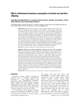 Effects of Buchenavia Tomentosa Consumption on Female Rats and Their Offspring