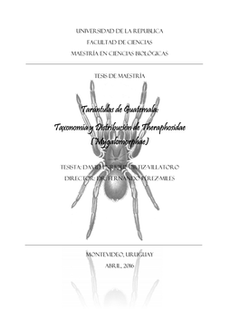 Tarántulas De Guatemala: Taxonomía Y Distribución De Theraphosidae (Mygalomorphae)