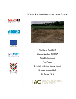 N7 Naas Road Widening and Interchanges Scheme Site Name