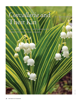 Convallaria and Their