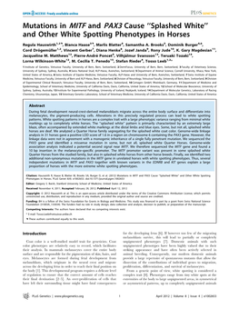 Mutations in MITF and PAX3 Cause ‘‘Splashed White’’ and Other White Spotting Phenotypes in Horses