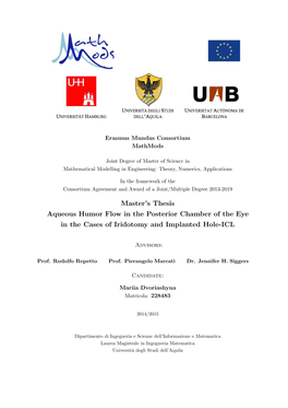 Master's Thesis Aqueous Humor Flow in the Posterior Chamber of the Eye in the Cases of Iridotomy and Implanted Hole-ICL