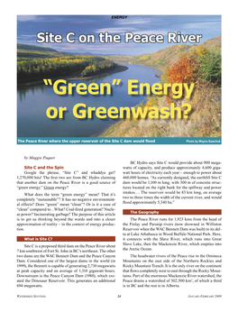 Energy Or Greenwash?