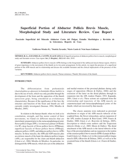 Superficial Portion of Abductor Pollicis Brevis Muscle, Morphological Study and Literature Review. Case Report