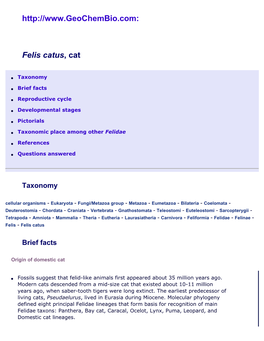 Felis Catus, Domestic Cat at Geochembio: Taxonomy, Brief Facts