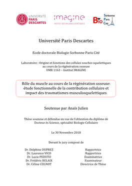 Université Paris Descartes