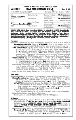 Lot 321 BAY OR BROWN COLT Box C 43 Foaled 11Th September 2017 Branded: Nrsh;85Over7 Offsh