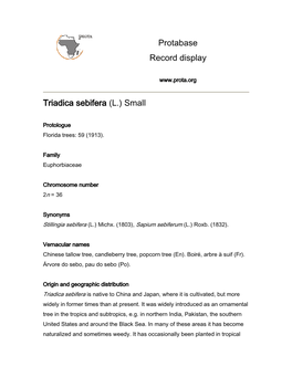 Protabase Record Display Triadica Sebifera