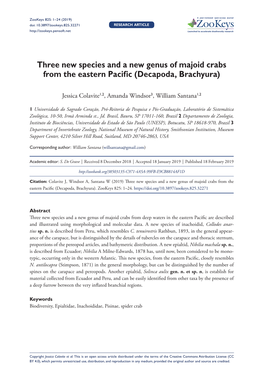 ﻿Three New Species and a New Genus of Majoid Crabs from the Eastern