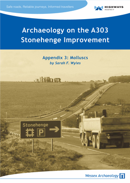 Archaeology on the A303 Stonehenge Improvement