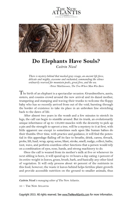 Do Elephants Have Souls? Caitrin Nicol