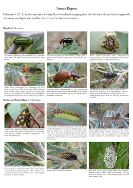Insect Digest February 4 2015