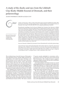 A Study of the Sharks and Rays from the Lillebælt Clay (Early–Middle Eocene) of Denmark, and Their Palaeoecology AGNETE WEINREICH CARLSEN & GILLES CUNY