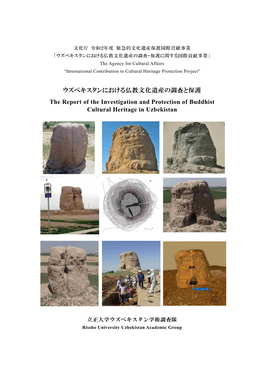 ウズベキスタンにおける仏教文化遺産の調査と保護 the Report of the Investigation and Protection of Buddhist Cultural Heritage in Uzbekistan