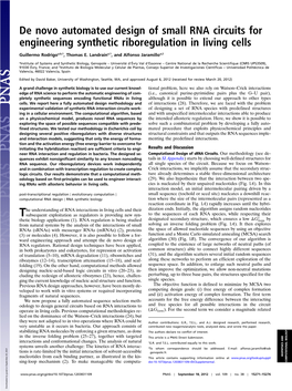 De Novo Automated Design of Small RNA Circuits for Engineering Synthetic Riboregulation in Living Cells