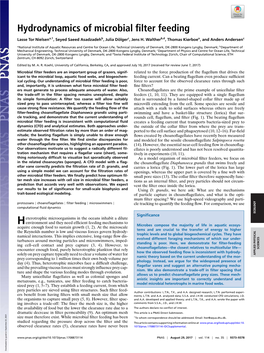 Hydrodynamics of Microbial Filter Feeding