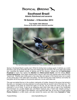 Southeast Brazil Atlantic Rainforest and Savanna