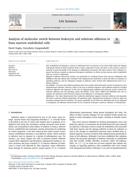 Analysis of Molecular Switch Between Leukocyte and Substrate Adhesion in Bone Marrow Endothelial Cells T