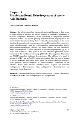 Membrane-Bound Dehydrogenases of Acetic Acid Bacteria