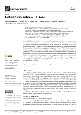 Bacterial Consumption of T4 Phages