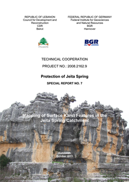 Mapping of Surface Karst Features in the Jeita Spring Catchment