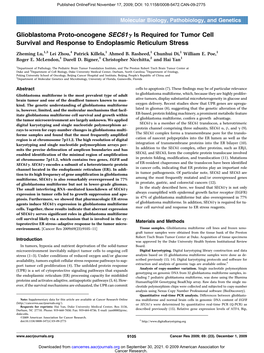 Glioblastoma Proto-Oncogene Sec61γ Is Required for Tumor Cell Survival and Response to Endoplasmic Reticulum Stress