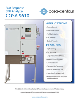 Fast Response BTU Analyzer COSA 9610