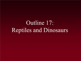 Reptiles and Dinosaurs Evolution of Reptiles