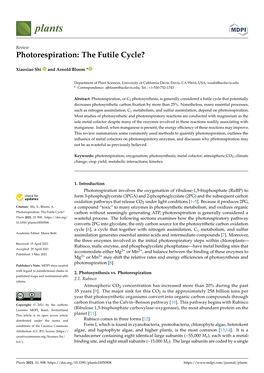 Photorespiration: the Futile Cycle?