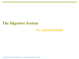 The Digestive System