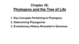 Phylogeny and the Tree of Life