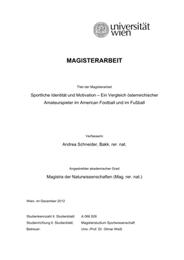 Magisterarbeit