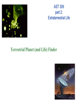 Terrestrial Planet (And Life) Finder the Drake Equation