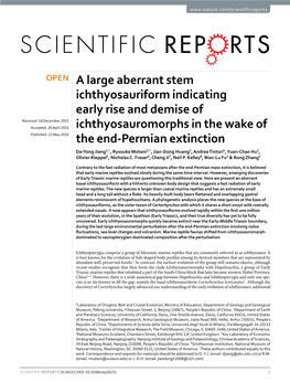 A Large Aberrant Stem Ichthyosauriform Indicating Early