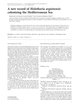 A New Record of Holothuria Arguinensis Colonizing the Mediterranean