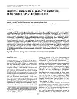 Functional Importance of Conserved Nucleotides at the Histone RNA 39 Processing Site