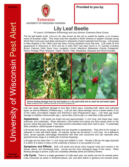 Lily Leaf Beetle PJ Liesch, UW-Madison Entomology and Lisa Johnson, Extension Dane County