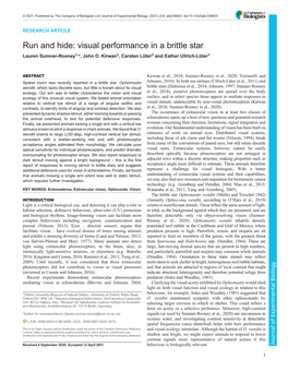 Run and Hide: Visual Performance in a Brittle Star Lauren Sumner-Rooney1,*, John D