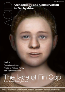 The Face of Fin Cop a Journey Through Time