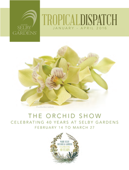 The Orchid Show Celebrating 40 Years at Selby Gardens February 14 to March 27 in This Issue