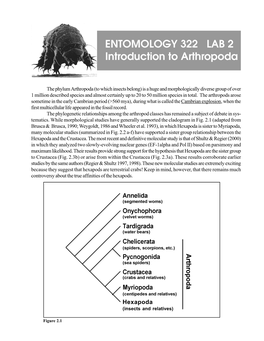 ENTOMOLOGY 322 LAB 2 Introduction to Arthropoda