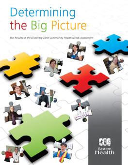 Discovery Zone Community Health Needs Assessment Determining the Big Picture