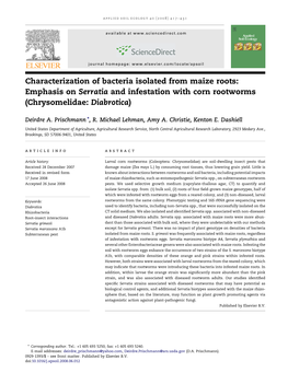 Characterization of Bacteria Isolated from Maize Roots: Emphasis on Serratia and Infestation with Corn Rootworms (Chrysomelidae: Diabrotica)