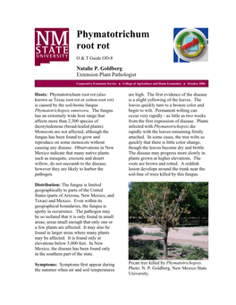 Phymatotrichum Root Rot