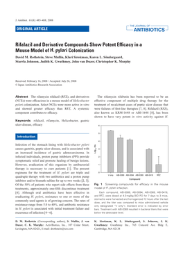 Rifalazil and Derivative Compounds Show Potent Efficacy in a Mouse