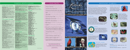 Kentucky Symbols and Traditions Brochure