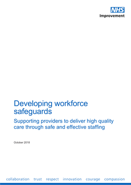 Developing Workforce Safeguards Supporting Providers to Deliver High Quality Care Through Safe and Effective Staffing